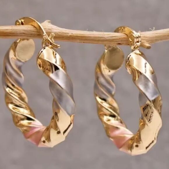 Elegant Tricolor Twisted Hoop Earrings - Picture 1 of 1